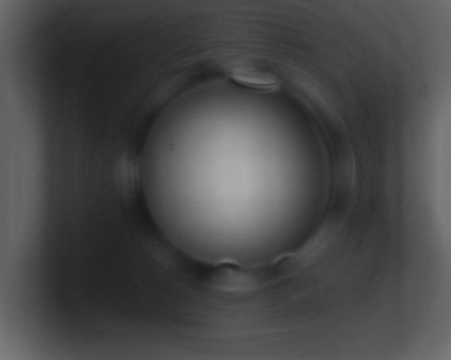 X0000101420180200807071324