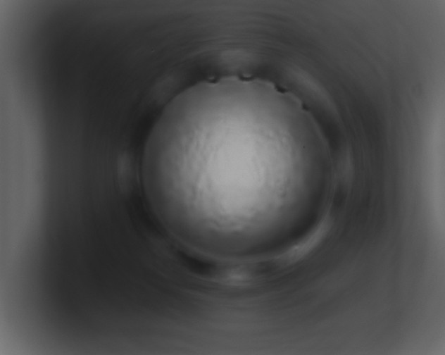 X0000101420182200807071324