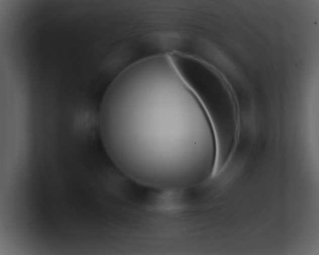 X0000101420184200807071324