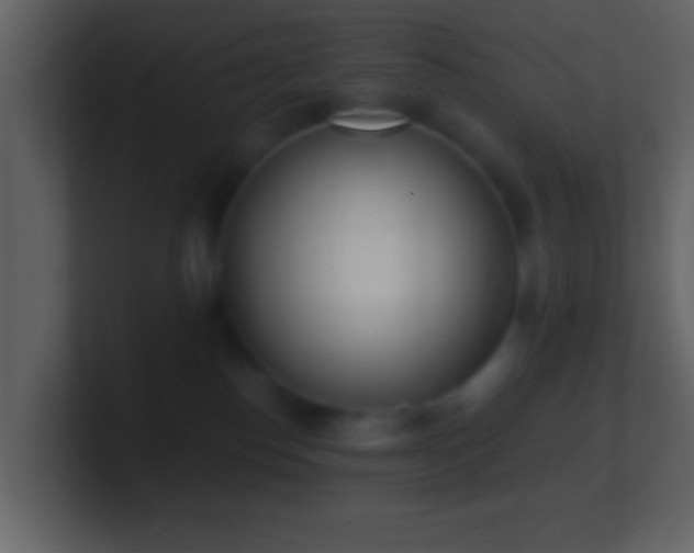 X0000101420186200807071324