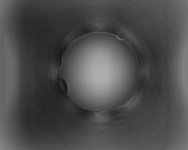 X0000101420188200807071324