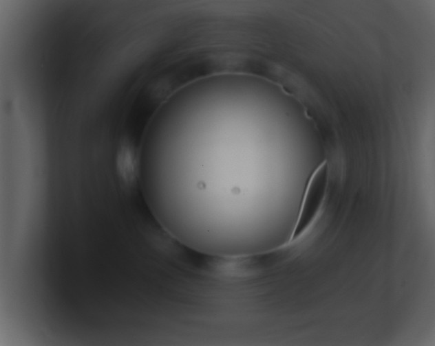 X0000101420191200807071324
