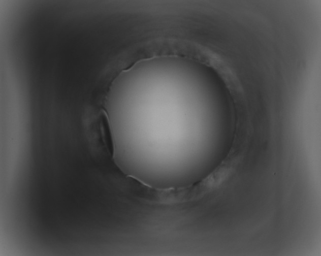 X0000101420192200807071324