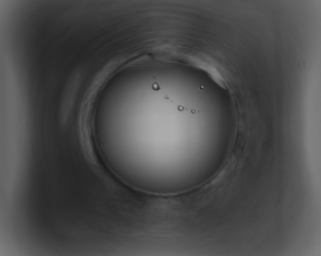 X0000101420193200807071323