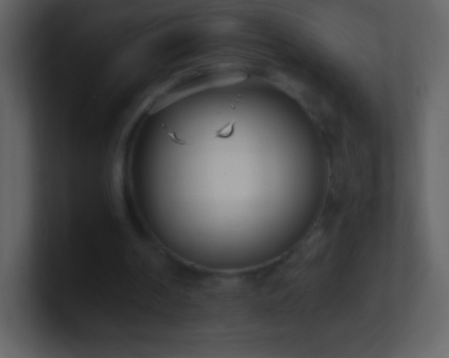X0000101420194200807071323