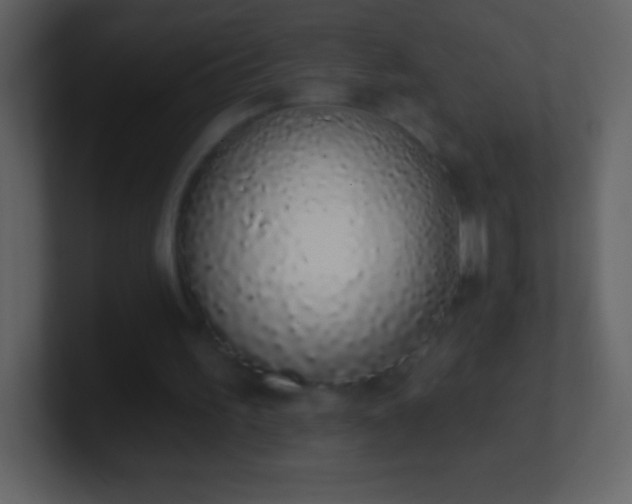 X0000101420195200807071323
