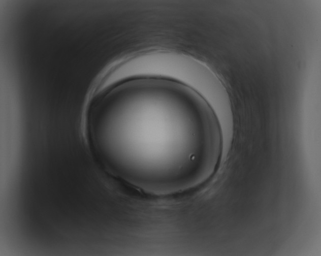 X0000101420196200807071323