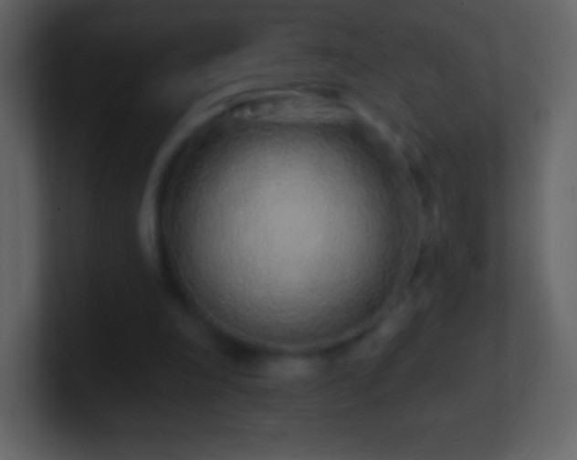X0000101420198200807071323