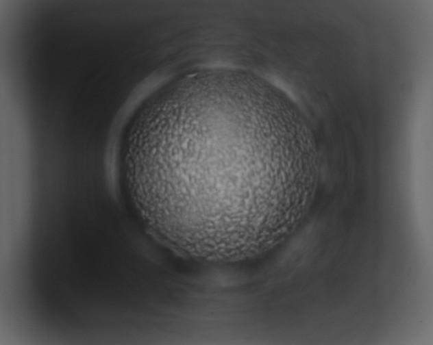 X0000101420199200807071323