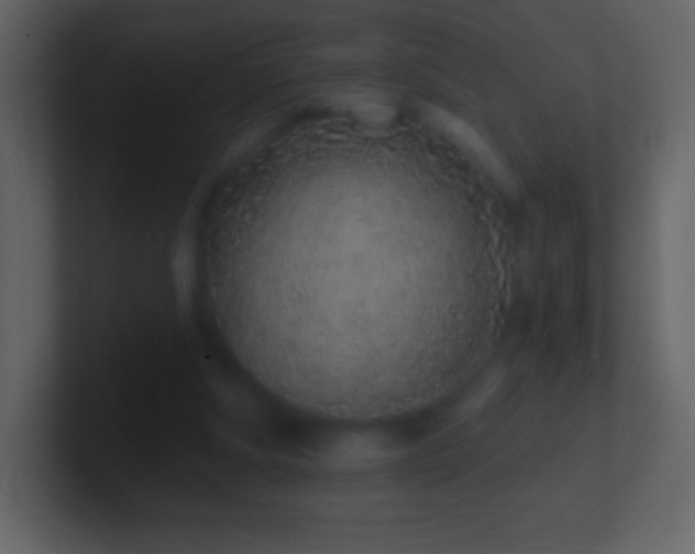 X0000101420202200807071323