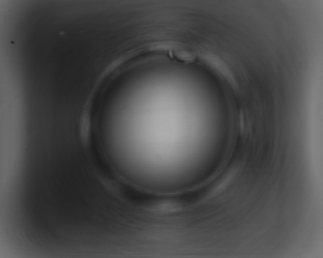 X0000101420204200807071323
