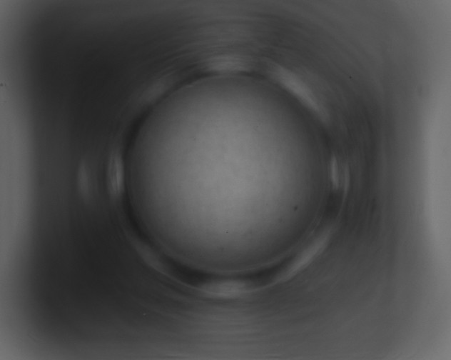 X0000101420205200807071323