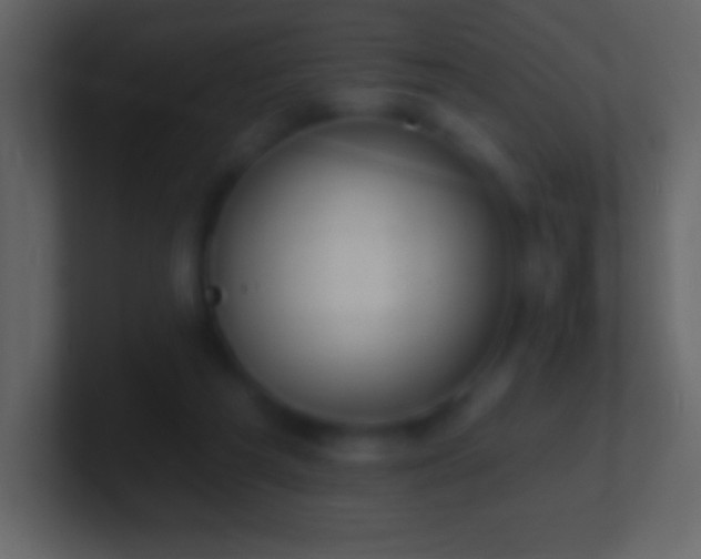 X0000101420209200807071323