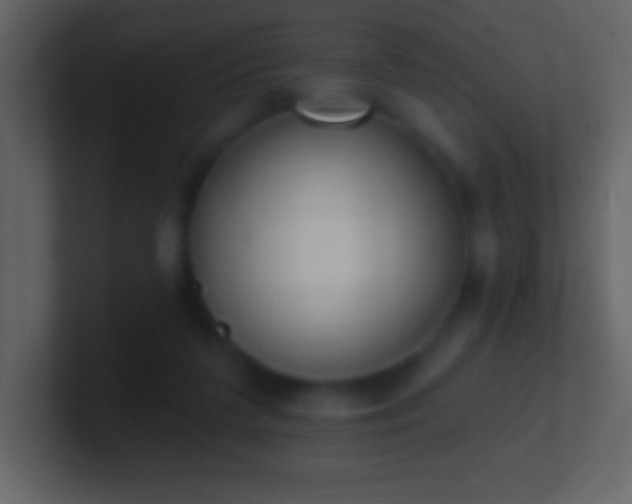 X0000101420211200807071323