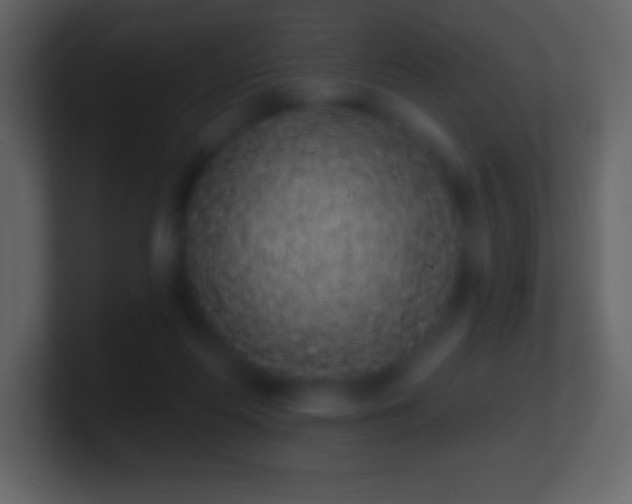 X0000101420214200807071323