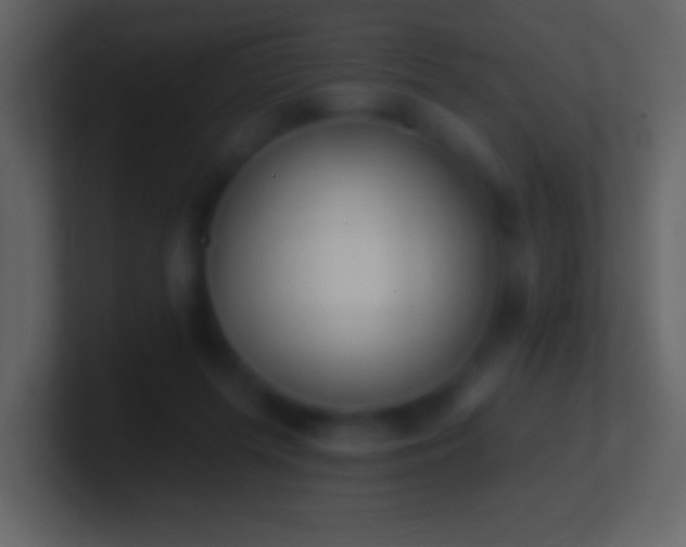X0000101420215200807071323