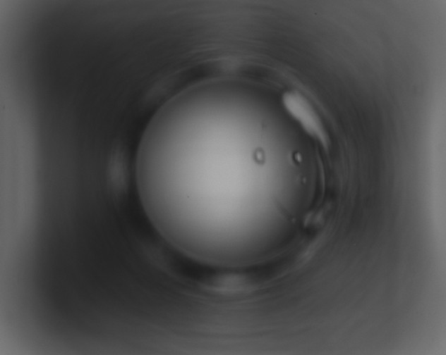X0000101420216200807071323