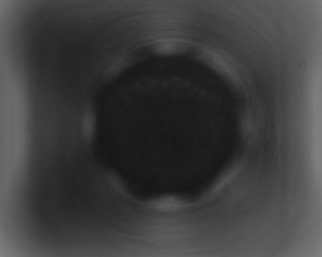 X0000101420219200807071323