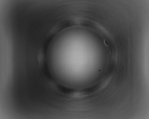 X0000101420220200807071323