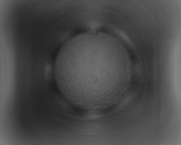 X0000101420222200807071323