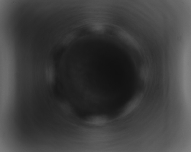 X0000101420223200807071323