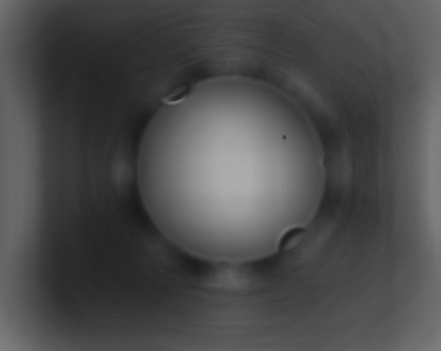 X0000101420226200807071323