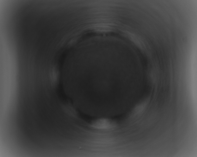 X0000101420227200807071323