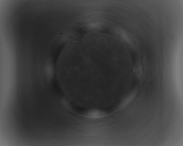 X0000101420231200807071323