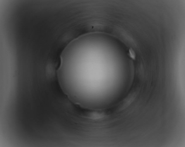 X0000101420232200807071323