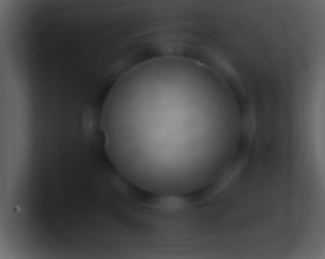 X0000101420233200807071323
