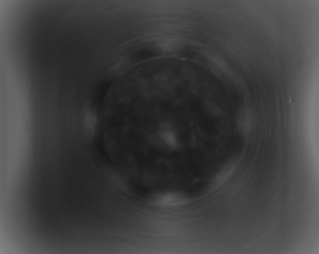 X0000101420235200807071322