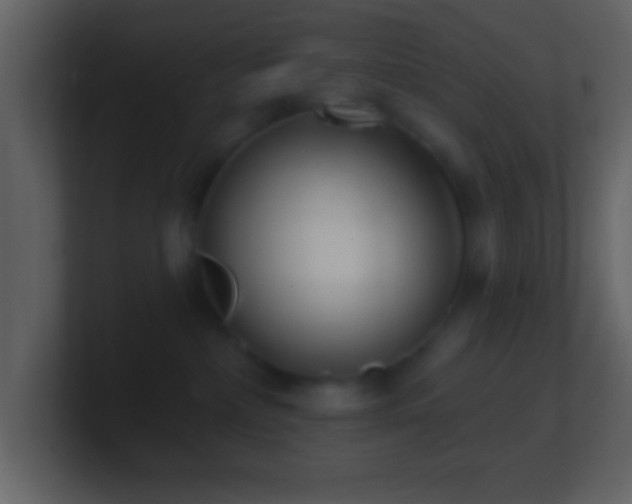 X0000101420236200807071322