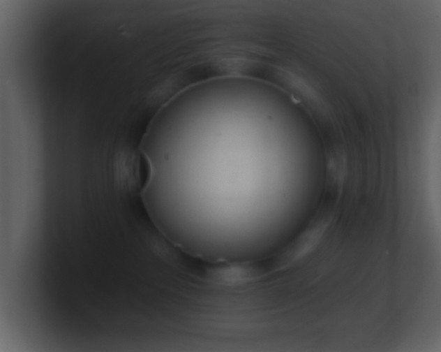 X0000101420237200807071322