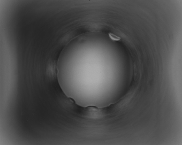 X0000101420240200807071322