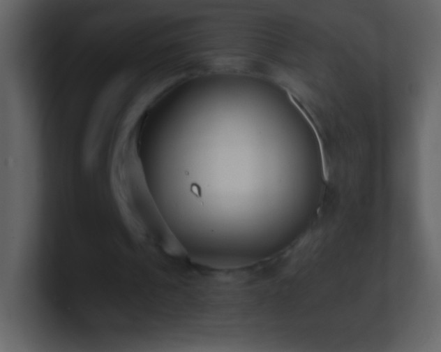 X0000101420241200807071322