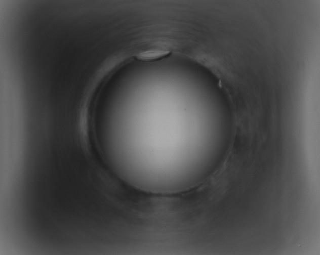 X0000101420242200807071322
