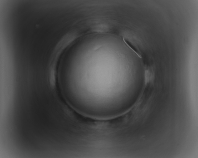 X0000101420243200807071322