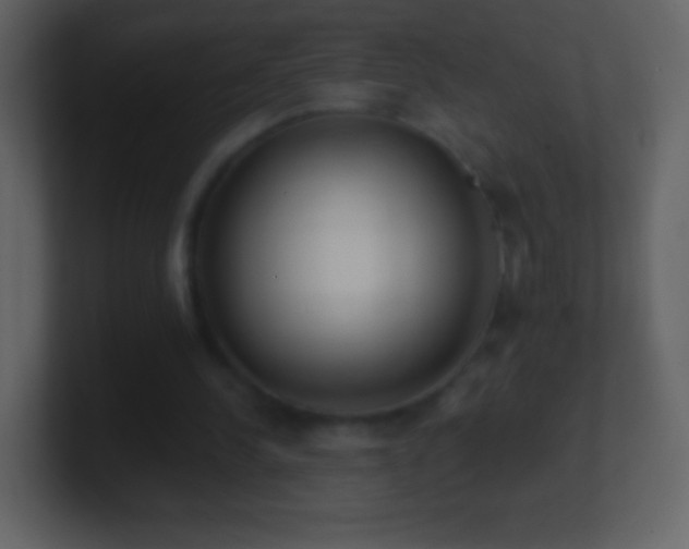 X0000101420244200807071322