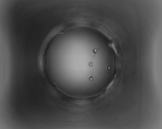 X0000101420245200807071322