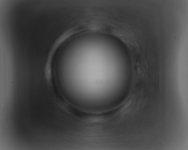 X0000101420246200807071322