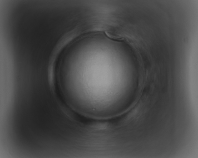 X0000101420247200807071322
