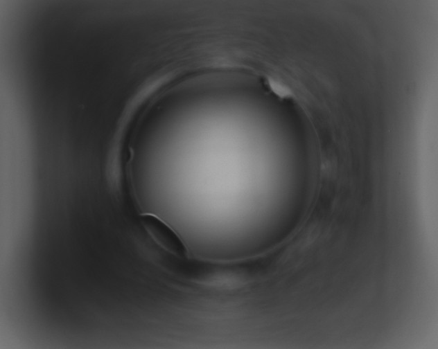 X0000101420248200807071322