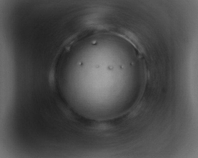 X0000101420249200807071322