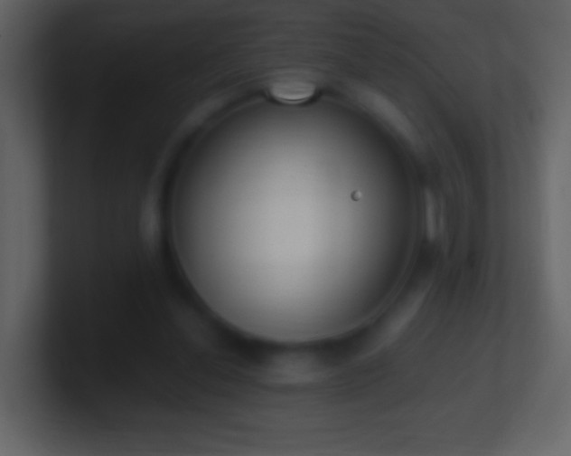 X0000101420252200807071322