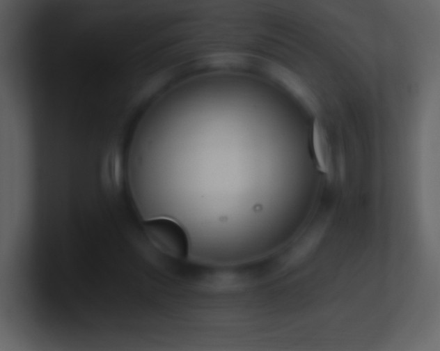 X0000101420253200807071322