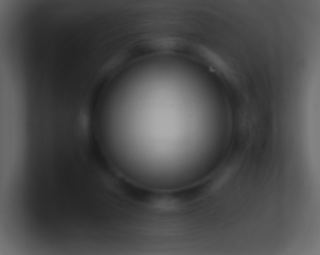 X0000101420258200807071322