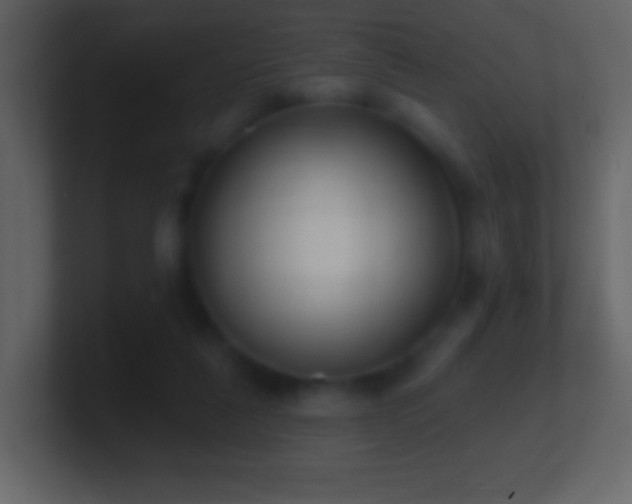 X0000101420259200807071322