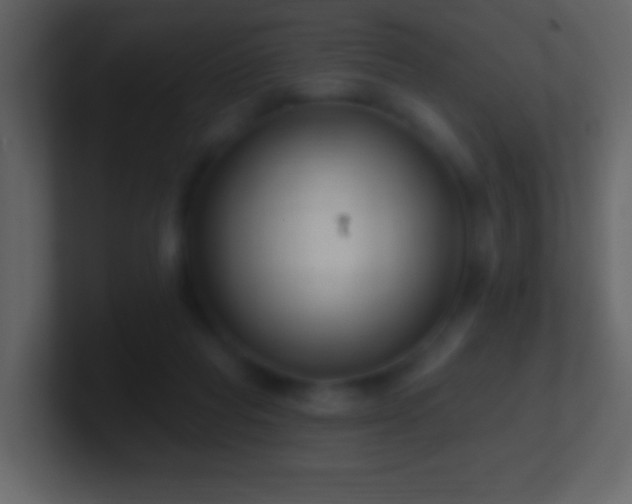 X0000101420261200807071322