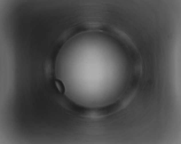 X0000101420264200807071322