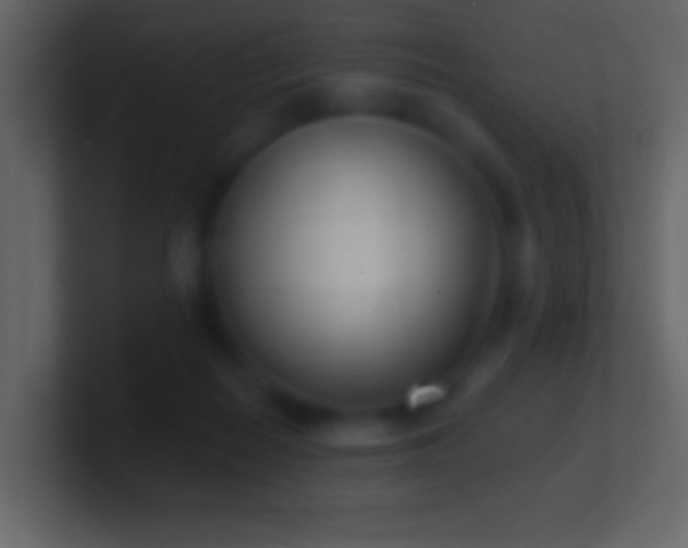 X0000101420266200807071322